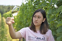 B.H.M.S. on the vineyard 
